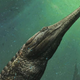 Image for article titled Imagine Getting Your Bones Crushed By This Bus-Sized Crocodile